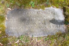 Roland C Diehl