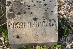 Maria R Simonds