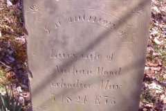 Lucy Johnson Wood