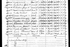 Horatio S Hendee, Surgeon
