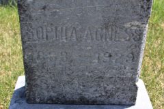 Sophia Jarvis Agness