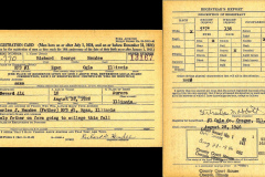 Richard George Hendee 1946 Draft